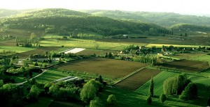 agriculture-zaghouen